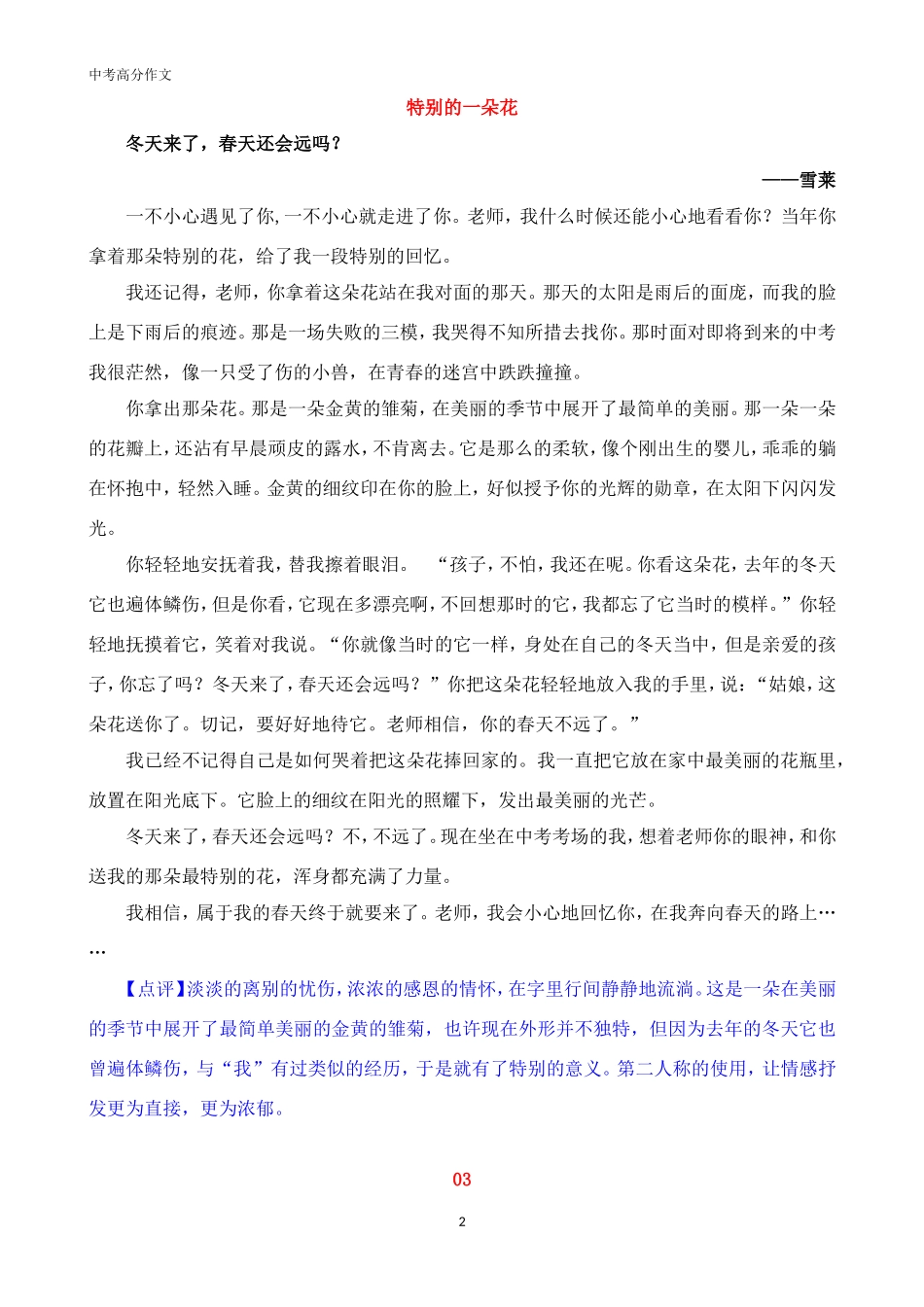 中考高分作文：特别的_______(范文7篇，附点评).doc_第2页