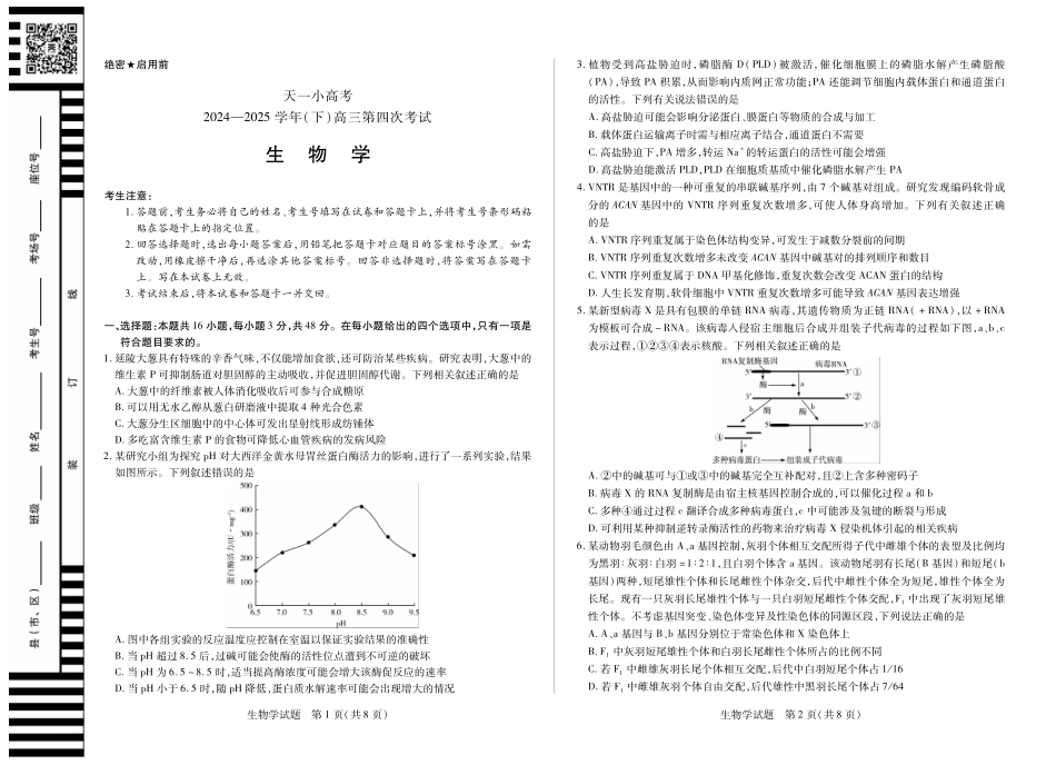 天一大联考 天一小高考2024-2025学年（下）高三第四次考试生物.pdf_第1页