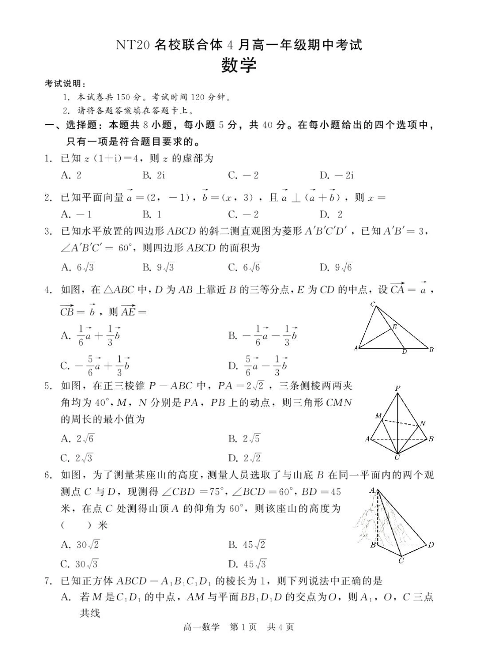 河北省NT20名校联合体2024-2025学年高一下学期4月期中考试 数学含解析.pdf_第1页