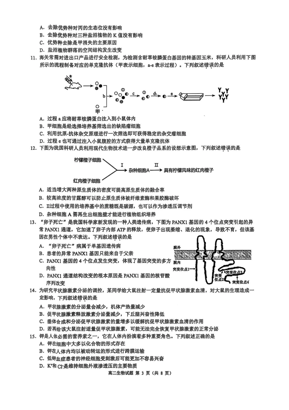 浙江省9 1联盟2024-2025学年高二下学期4月期中考试 生物含答案.pdf_第3页