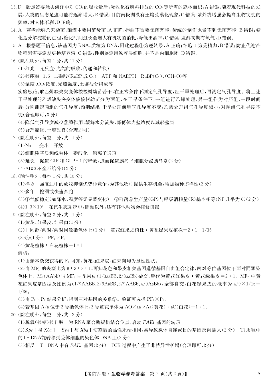 生物5月考前押题（A）卷答案安徽省九师联盟2025届高三下学期5月考前押题（5.23-5.24）.pdf_第2页