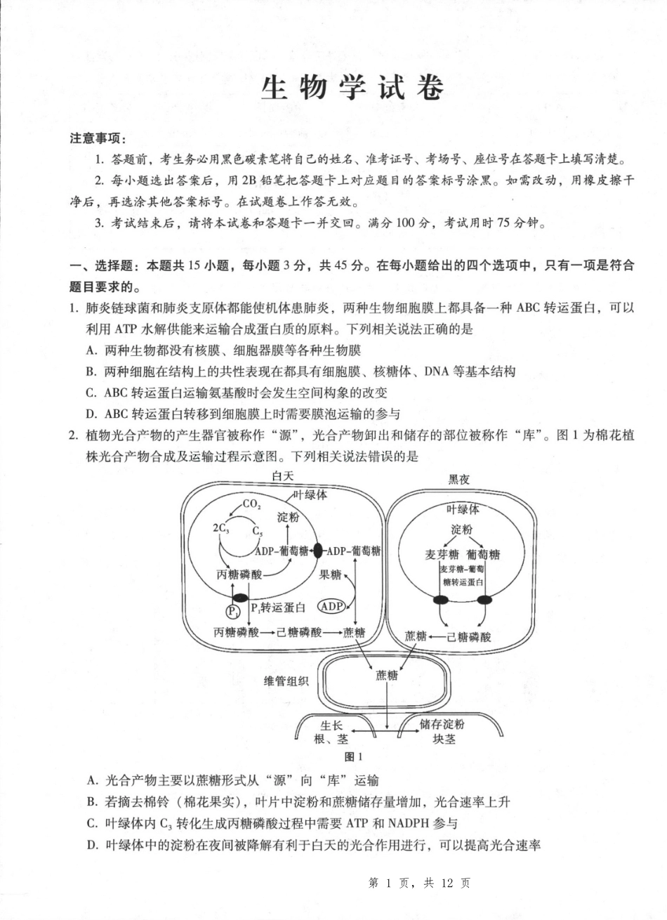 生物试卷重庆市第八中学高2025届5月全真模拟考试（八）（5.24-5.26）.pdf_第1页