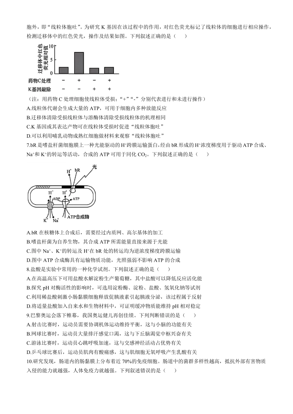 湖北省云学部分重点高中联盟2024-2025学年高二上学期10月联考生物试题含答案.pdf_第2页