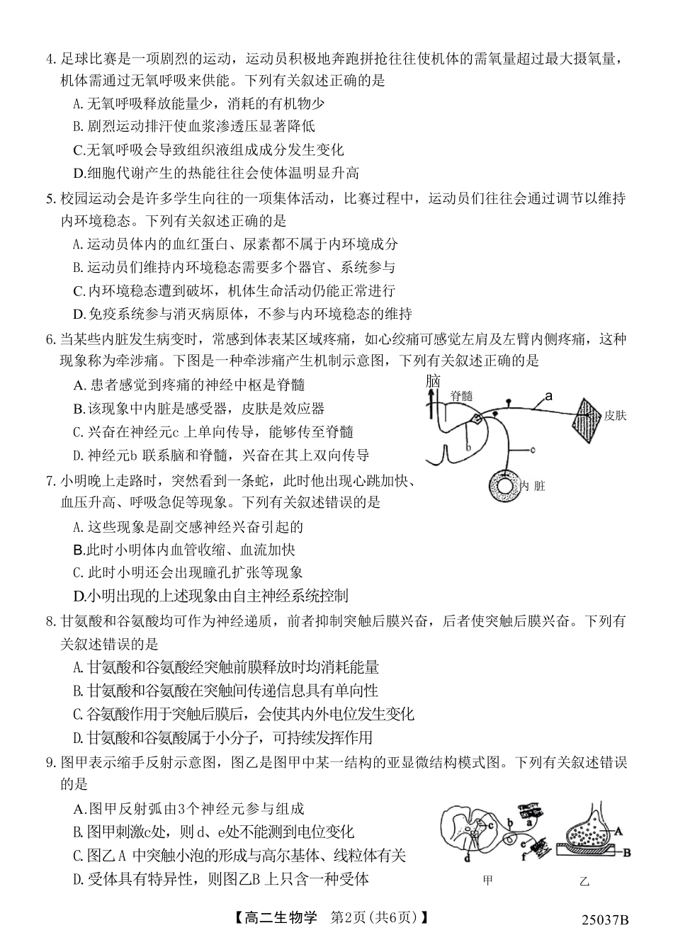 吉林省四校联考2024-2025学年高二上学期9月月考生物试题.pdf_第2页