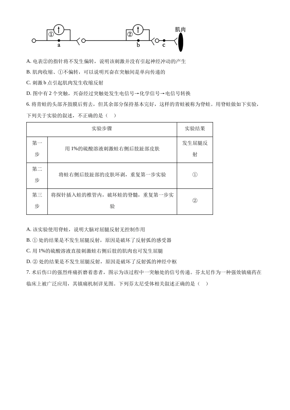 山东省济宁市育才中学2024-2025学年高二上学期10月阶段性测试生物试题.docx_第2页