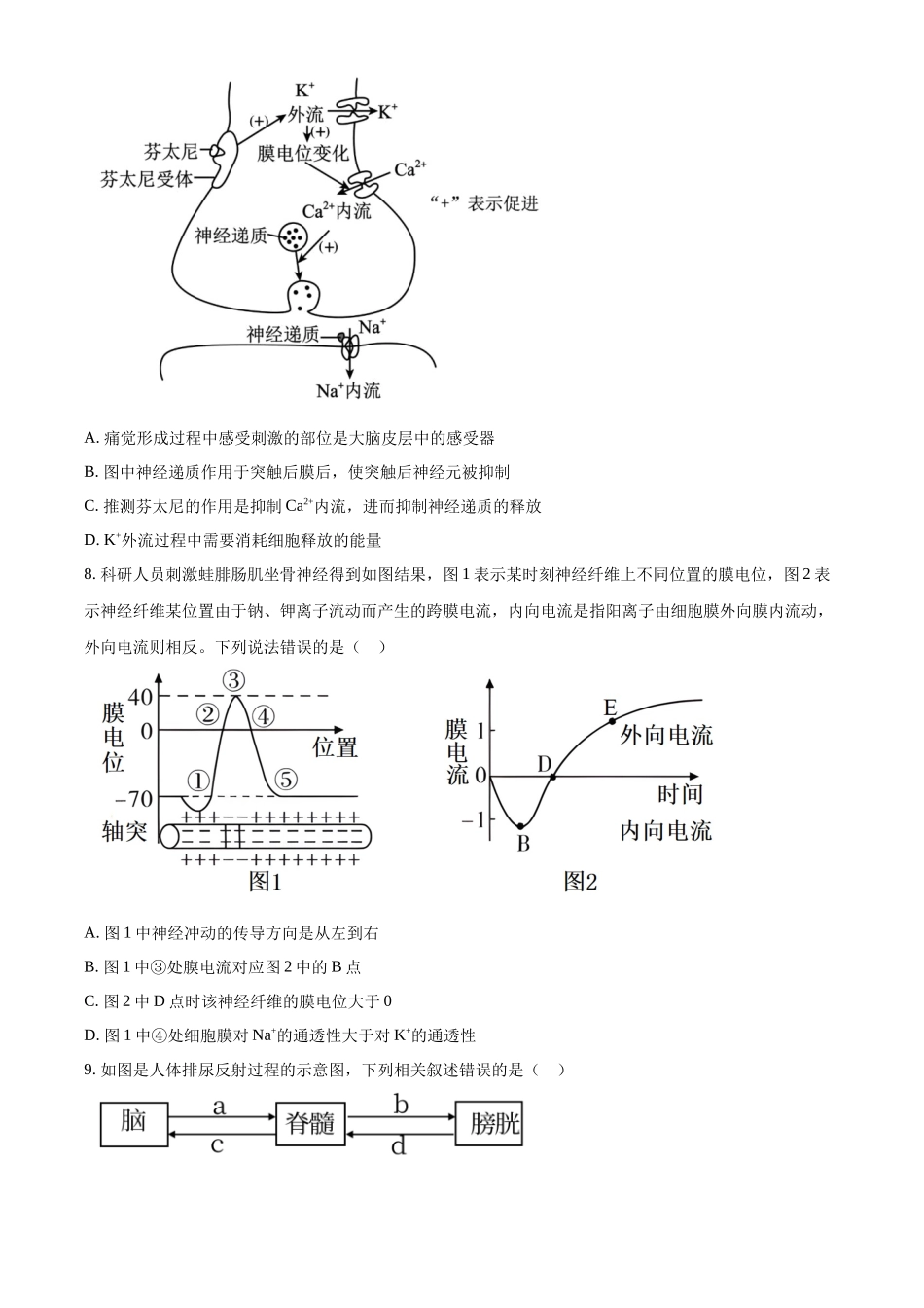 山东省济宁市育才中学2024-2025学年高二上学期10月阶段性测试生物试题.docx_第3页