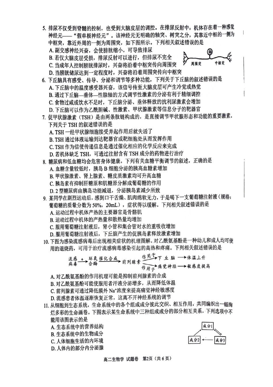四川省绵阳市2024-2025学年高二上学期期末教学质量测试生物学试题.pdf_第2页