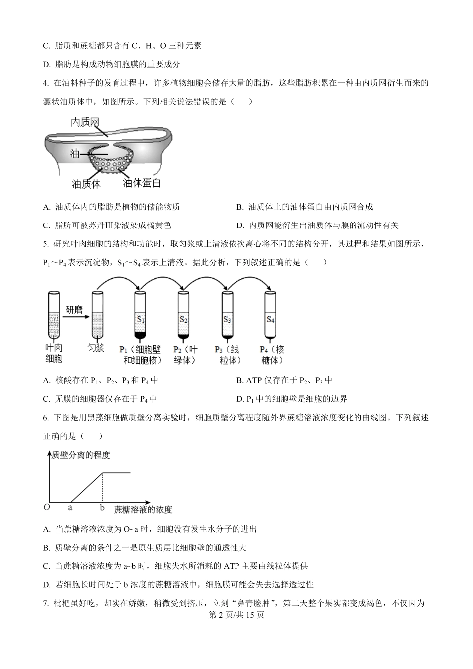 云南省大理白族自治州下关一中教育集团2024-2025学年高二上学期10月月考生物试题（原卷版）.pdf_第2页