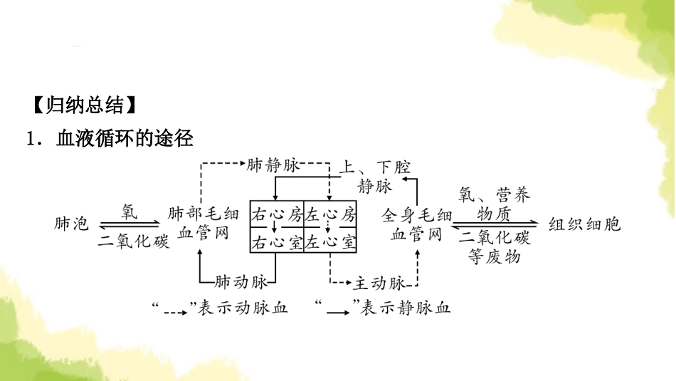 2025会考生物复习专项四生物圈中的人练习课件.ppt_第2页