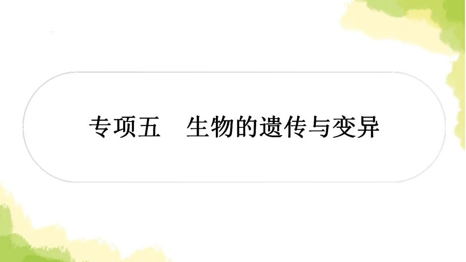 2025会考生物复习专项五生物的遗传与变异练习课件.ppt_第1页