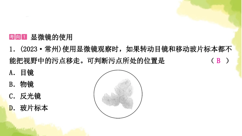 2025会考生物复习专项一生物体的结构层次练习课件.ppt_第2页