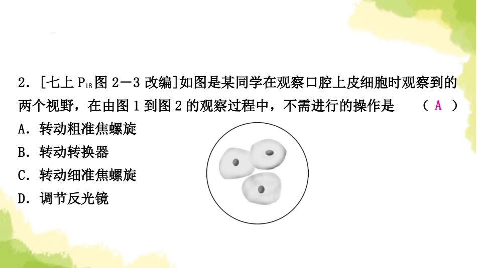 2025会考生物复习专项一生物体的结构层次练习课件.ppt_第3页