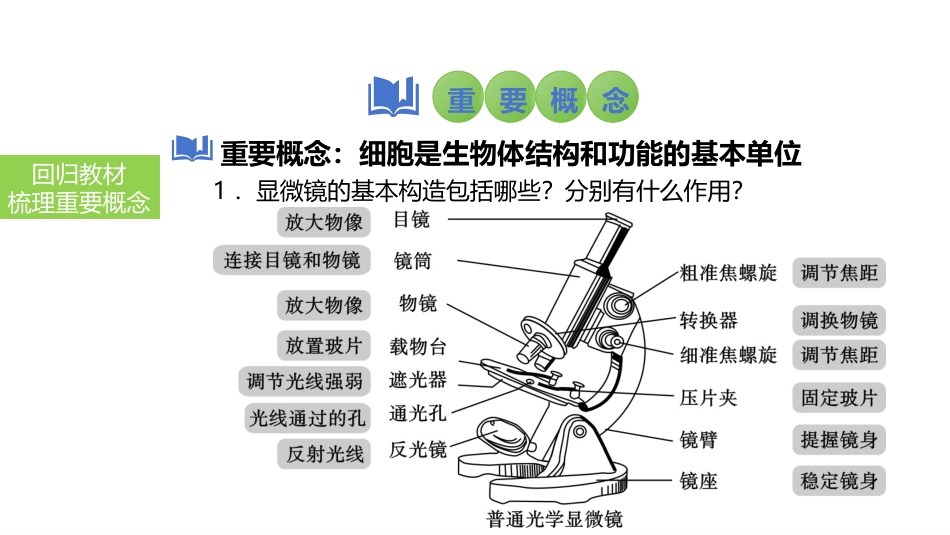 2025会考一轮复习：第3讲 显微镜的使用及临时装片的制作课件.pptx_第3页