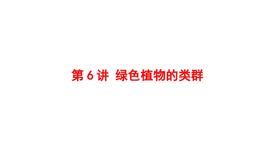 2025会考一轮复习：第6讲 绿色植物的类群课件.pptx_第1页