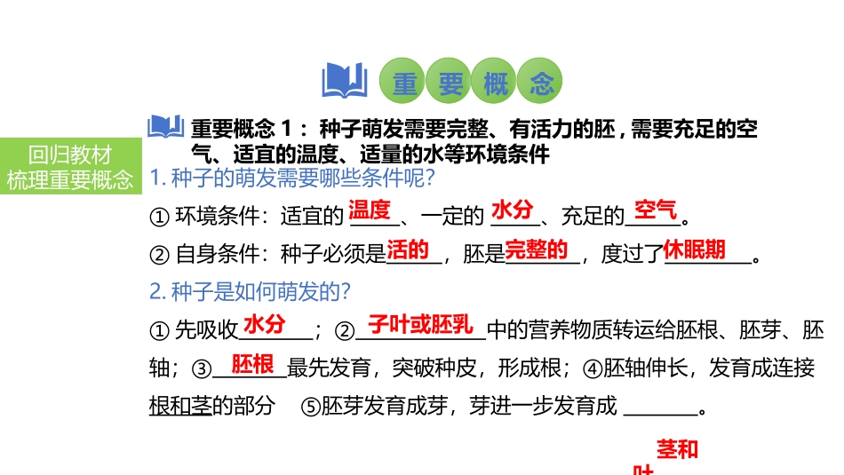 2025会考一轮复习：第7讲 种子的萌发与植株的生长课件.pptx_第3页