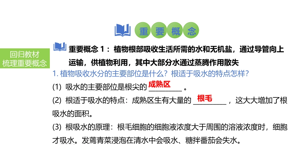 2025会考一轮复习：第9讲 绿色植物与生物圈的水循环课件.pptx_第3页