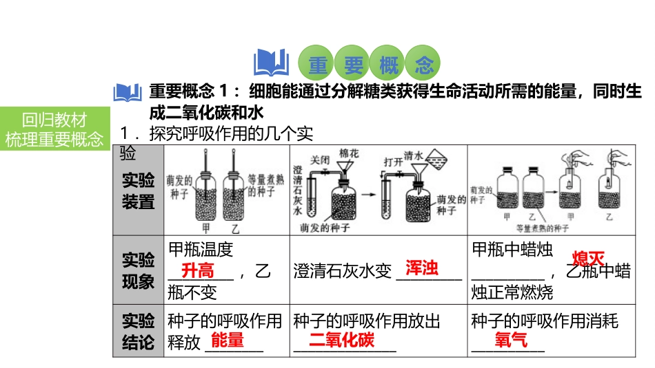 2025会考一轮复习：第11讲 绿色植物的呼吸作用课件.pptx_第3页