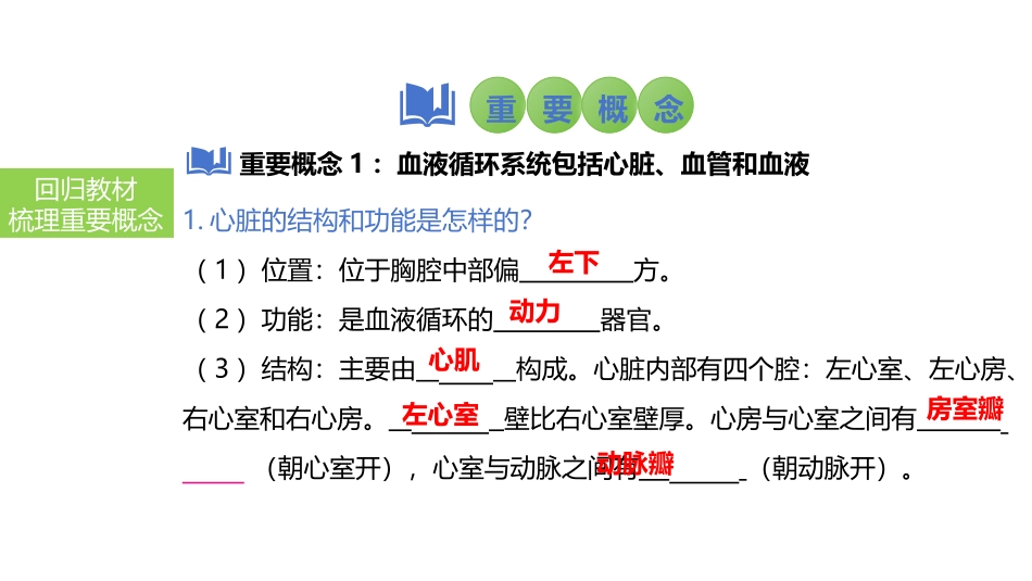 2025会考一轮复习：第17讲 心脏和血液循环课件.pptx_第3页