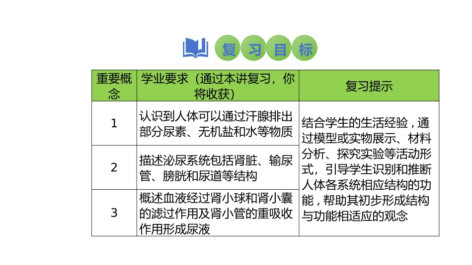 2025会考一轮复习：第18讲 人体内废物的排出课件.pptx_第2页