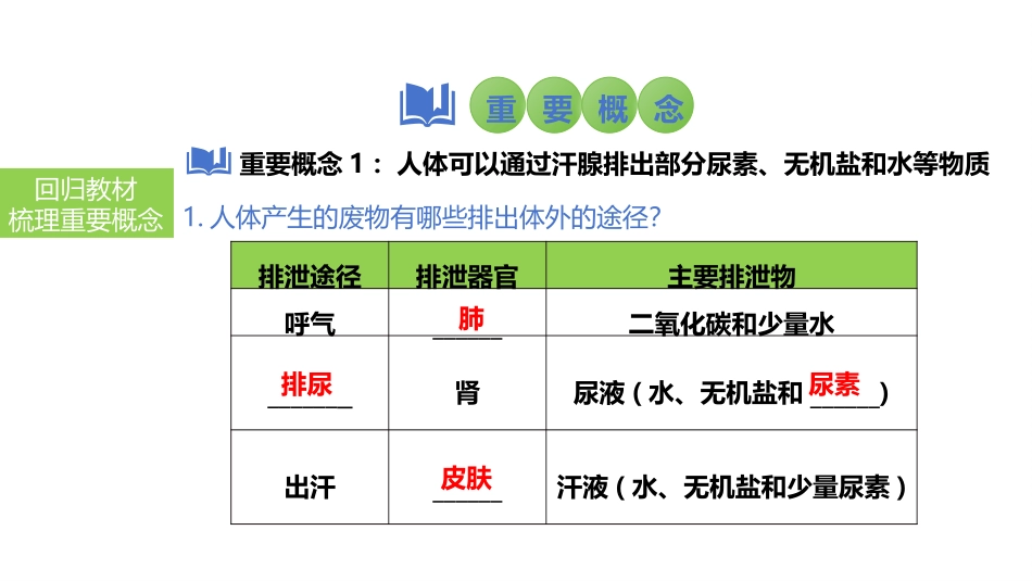 2025会考一轮复习：第18讲 人体内废物的排出课件.pptx_第3页