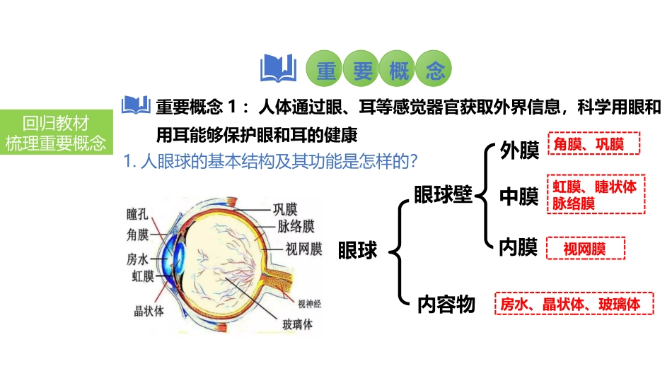 2025会考一轮复习：第19讲 人体对外界环境的感知、神经系统的组成课件.pptx_第3页