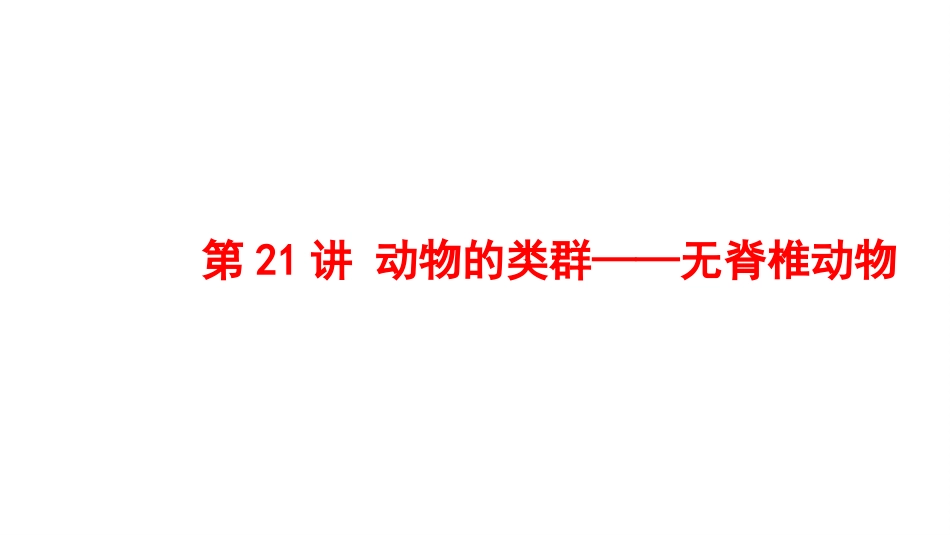 2025会考一轮复习：第21讲 动物的类群——无脊椎动物课件.pptx_第1页