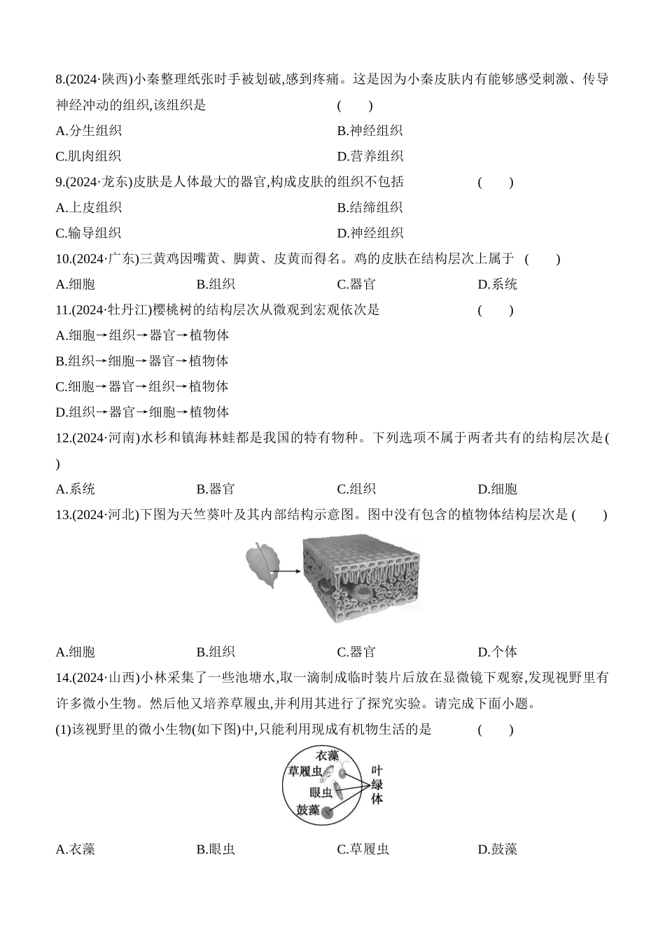 第04讲　细胞怎样构成生物体  2025年会考生物学专题练习（含答案）.docx_第2页
