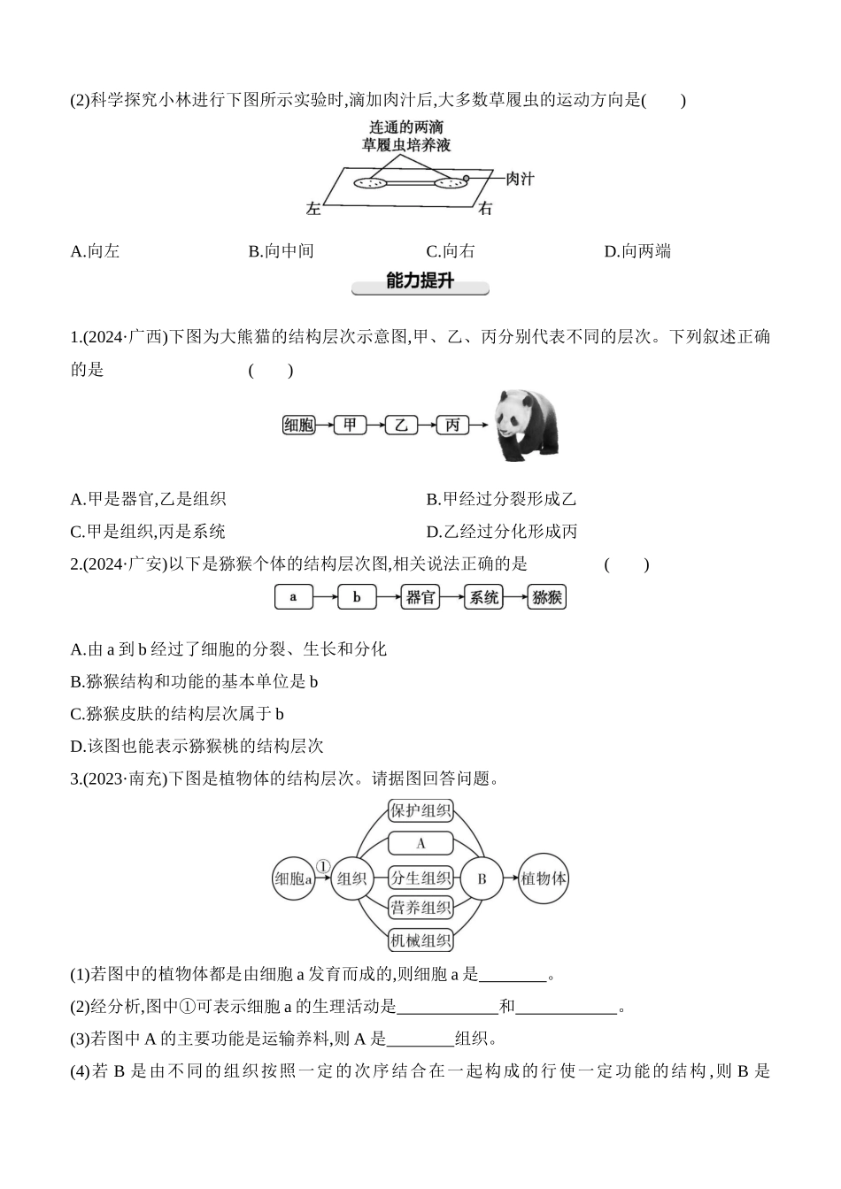 第04讲　细胞怎样构成生物体  2025年会考生物学专题练习（含答案）.docx_第3页