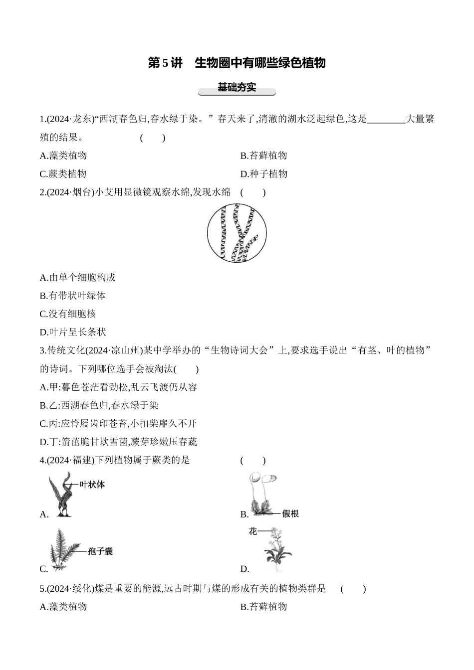 第05讲　生物圈中有哪些绿色植物  2025年会考生物学专题练习（含答案）.docx_第1页