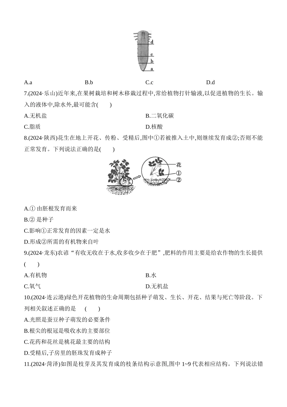 第06讲　被子植物的一生  2025年会考生物学专题练习（含答案）.docx_第2页