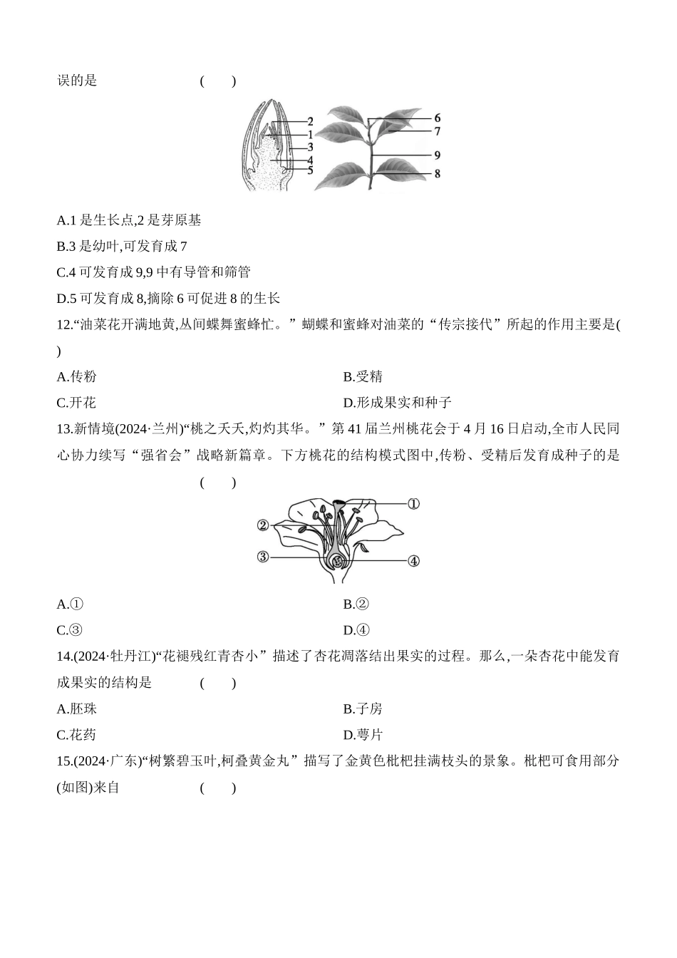 第06讲　被子植物的一生  2025年会考生物学专题练习（含答案）.docx_第3页