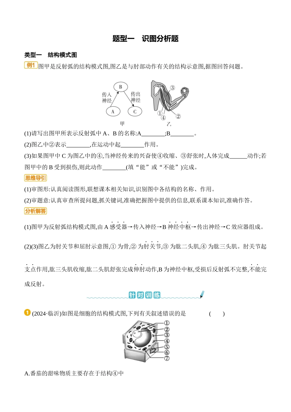 题型01　识图分析题  2025年会考生物学专题复习（含答案）.docx_第1页