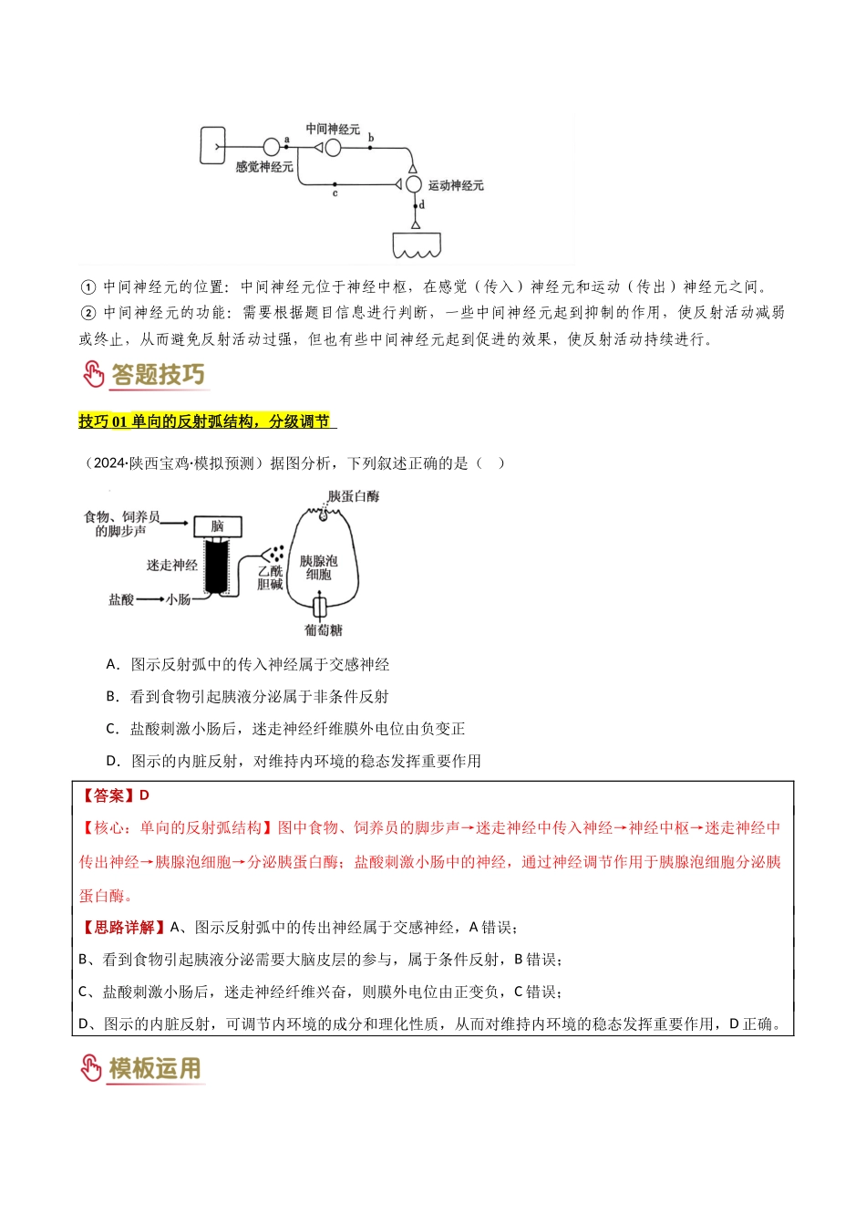 题型03 稳态与调节类（3大模板）（解析版）-2025年高考生物解题技巧模版.docx_第3页