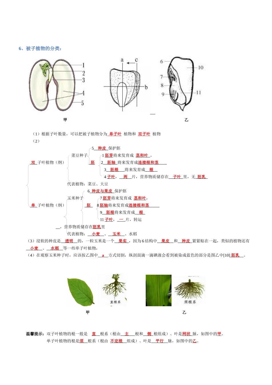 专题03  生物圈中的绿色植物(背诵版)-2025年会考生物知识梳理.docx_第2页