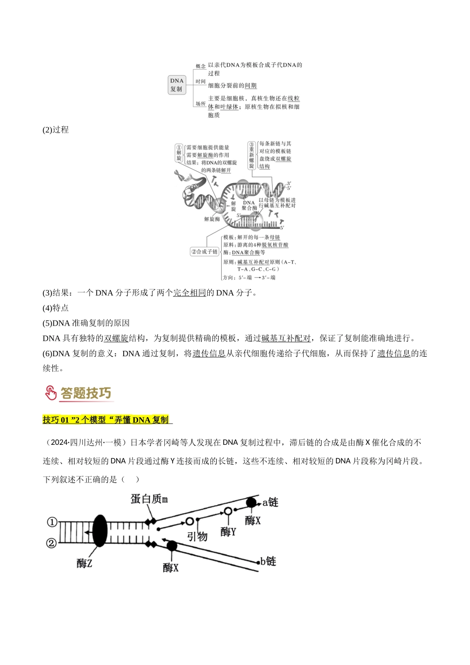 专题05 遗传的分子基础（原卷版）-2025年高考生物解题技巧模版.docx_第3页