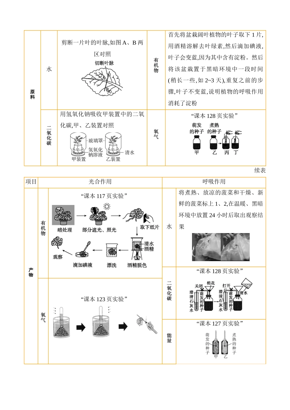 专项01　植物蒸腾作用、光合作用、呼吸作用综合  2025年会考生物学专题复习（含答案）.docx_第2页