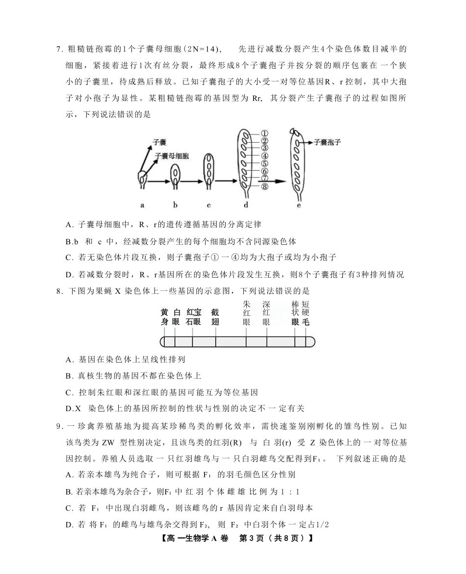 安徽省鼎尖名校2024-2025学年高一下学期5月阶段性检测生物（A）试卷（有解析）.pdf_第3页