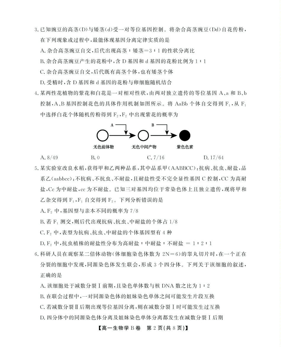 安徽省鼎尖名校2024-2025学年高一下学期5月阶段性检测生物（B）试卷（有解析）.pdf_第2页