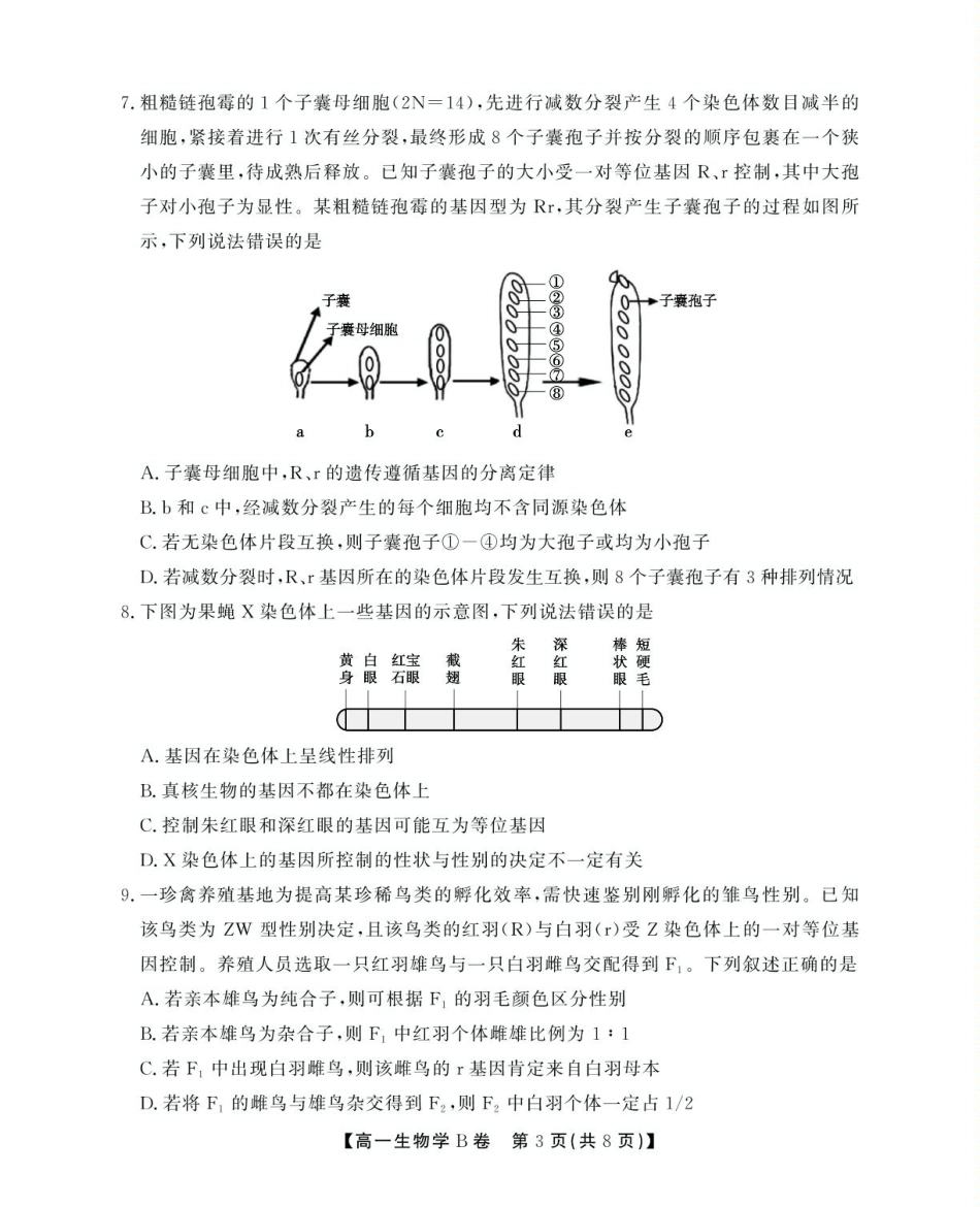 安徽省鼎尖名校2024-2025学年高一下学期5月阶段性检测生物（B）试卷（有解析）.pdf_第3页