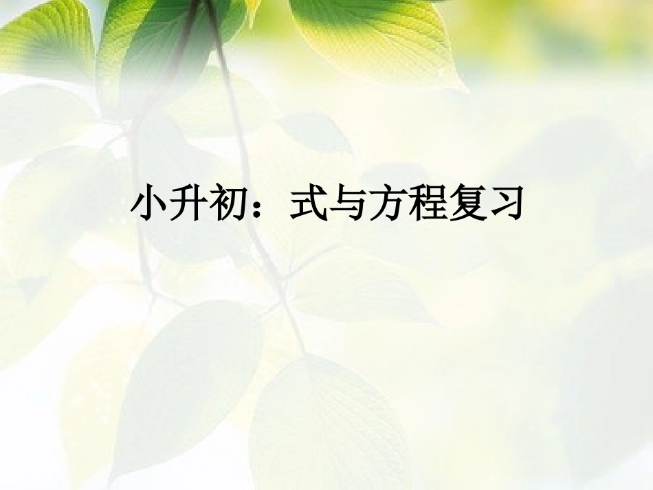 六年级数学小升初《式与方程复习》.ppt_第1页