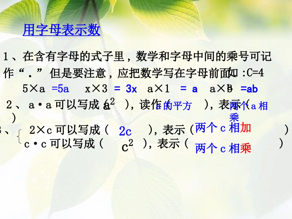 六年级数学小升初《式与方程复习》.ppt_第2页