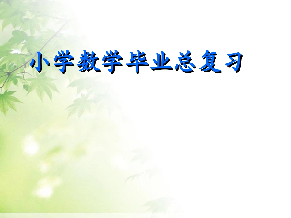 小学数学毕业总复习课件2.ppt_第1页
