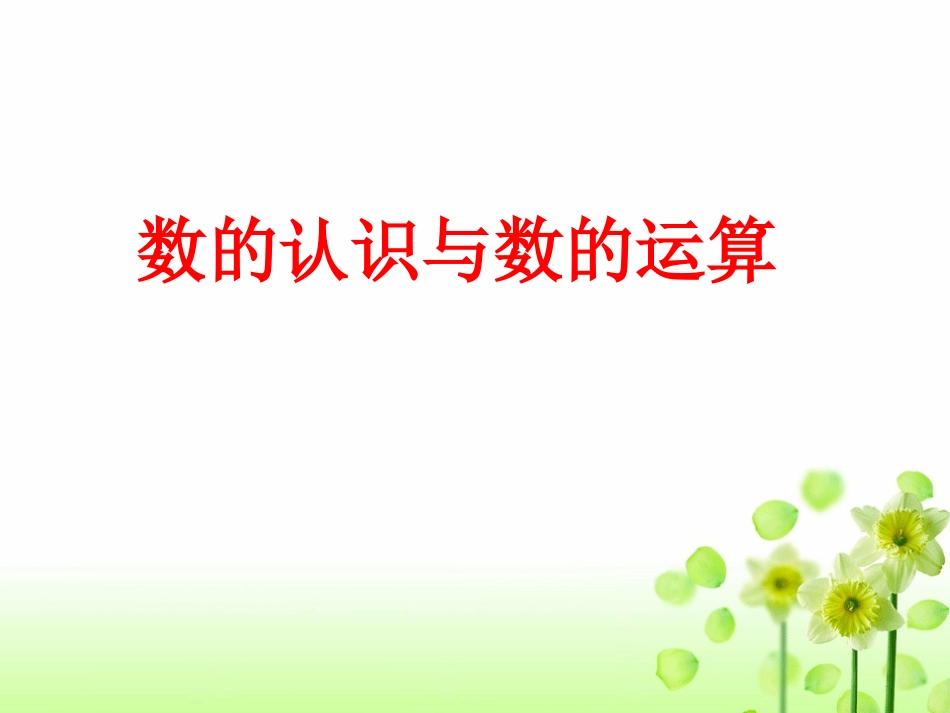 小学数学毕业总复习课件2.ppt_第3页