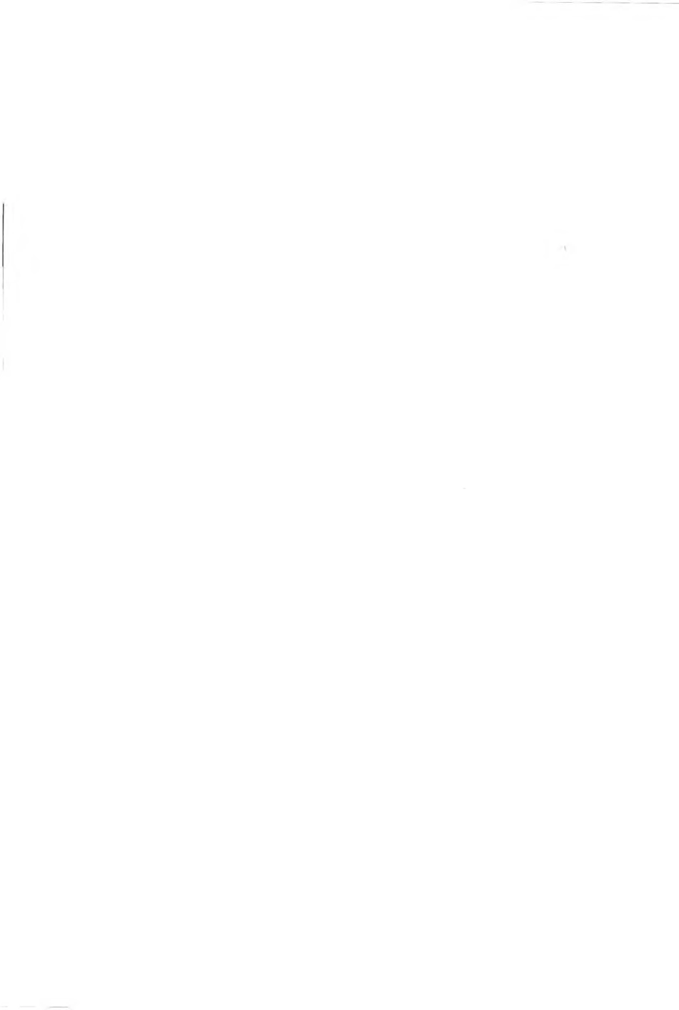 GB50917-2013 钢-混凝土组合桥梁设计规范.pdf_第3页