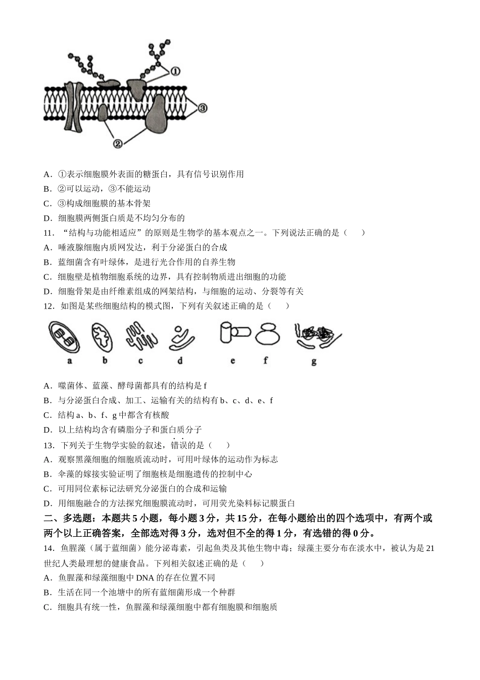 河北省保定市六校联盟2024-2025学年高一上学期11月期中联考试题 生物试题（含答案）.docx_第3页