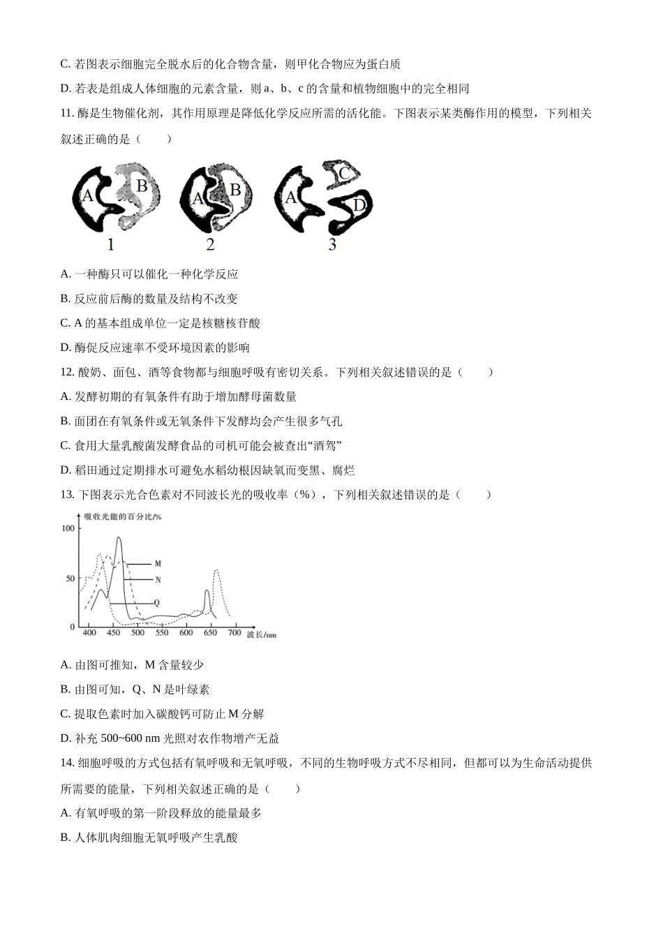河北省衡水市河北冀州中学2024-2025学年高一上学期10月期中考试生物试题.docx_第3页