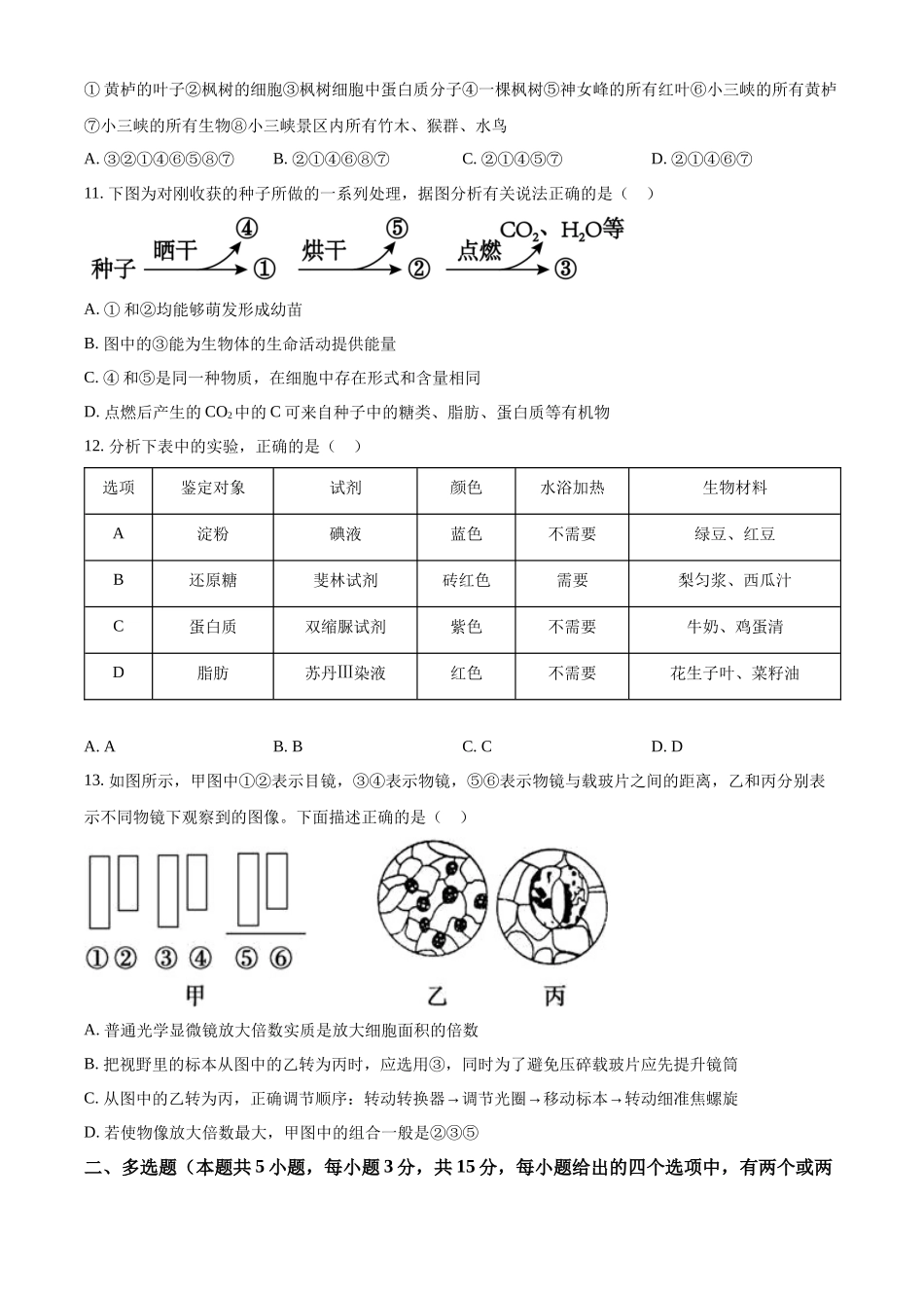 河北省衡水市武强中学2024-2025学年高一上学期期中考试生物试题.docx_第3页