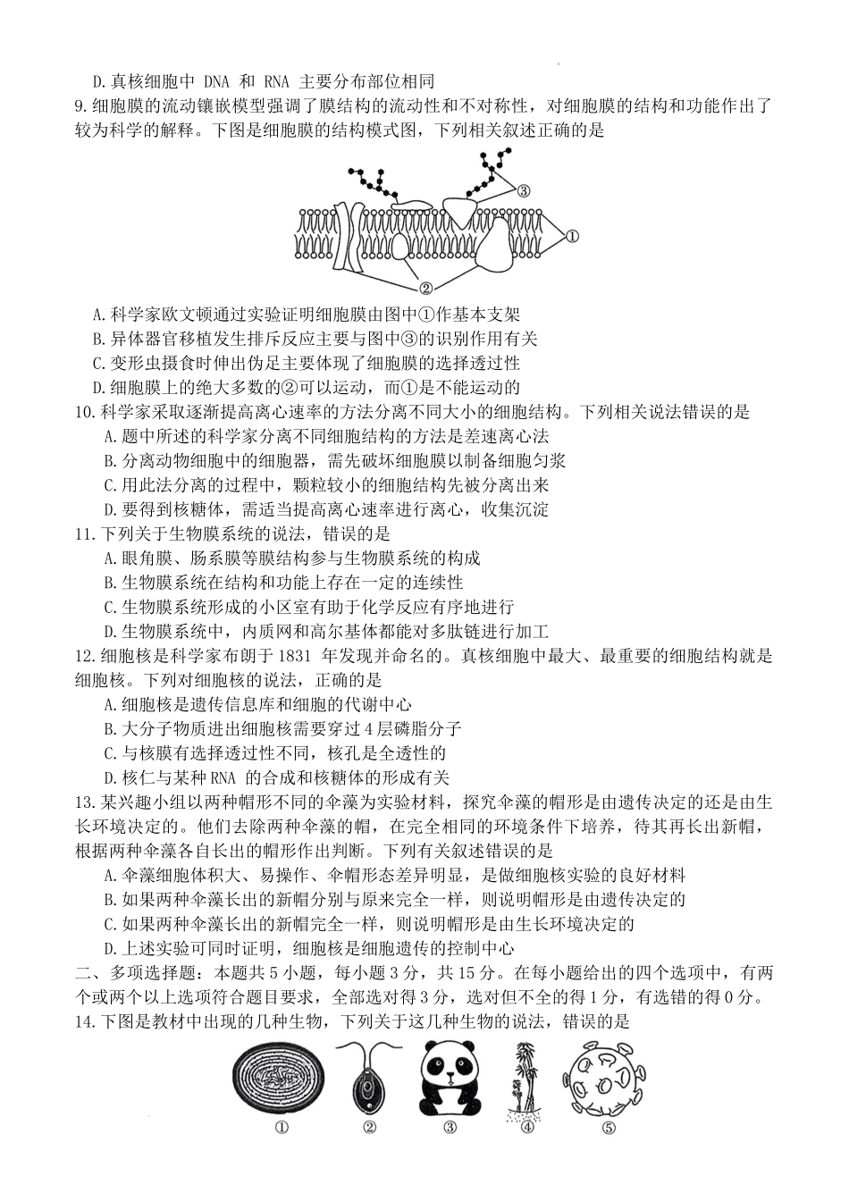 河南省创新发展联盟2024-2025学年高一上学期9月月考试题 生物试卷.docx_第3页