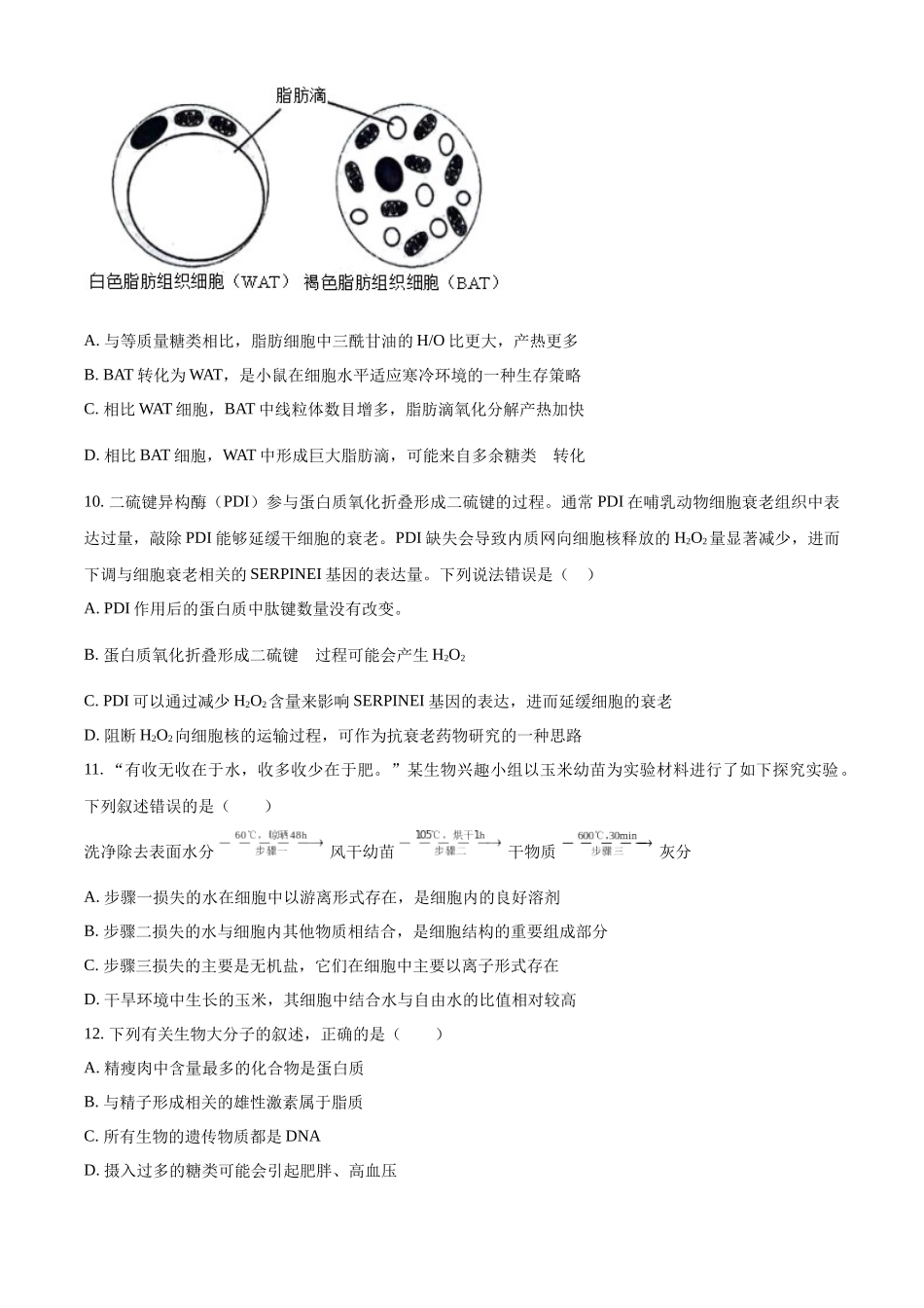 湖南省邵东市第一中学2024-2025学年高一上学期第一次月考生物试题.docx_第3页