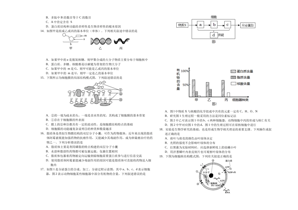 吉林省长春外国语学校2024-2025学年高一上学期10月期中考试 生物含答案.docx_第3页